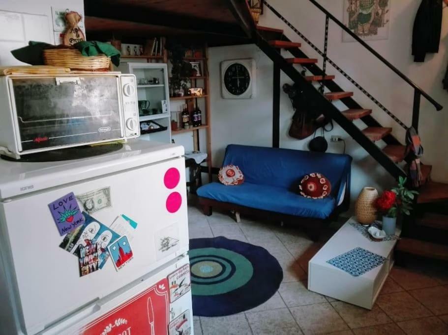 Nohipster Domus / Lavanda Roma