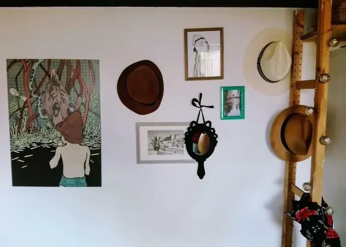 Nohipster Domus / Lavanda