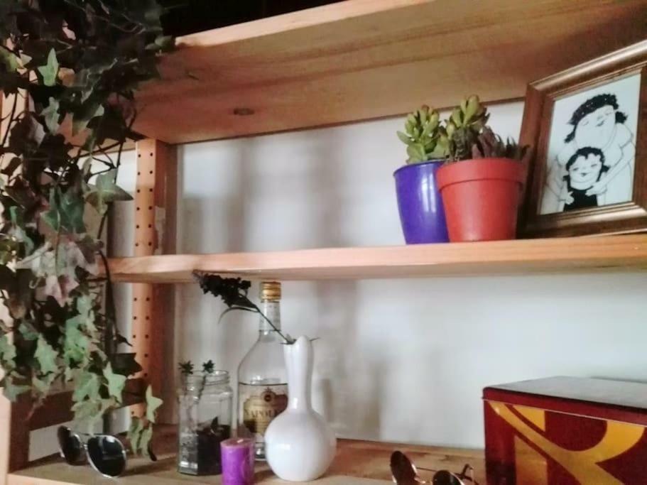 Nohipster Domus / Lavanda Casa vacanze *