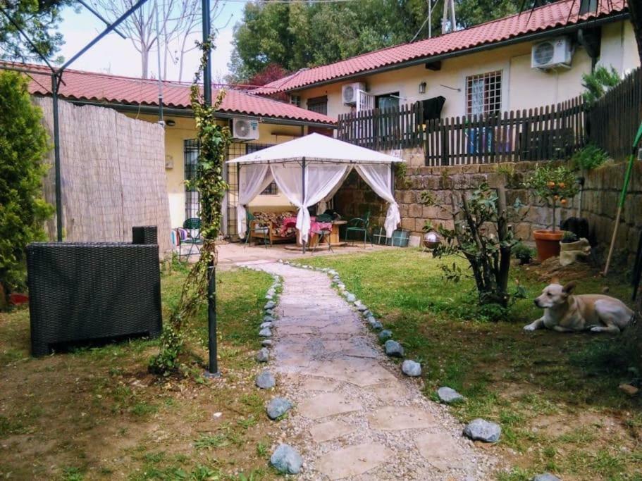 Casa vacanze Nohipster Domus / Lavanda